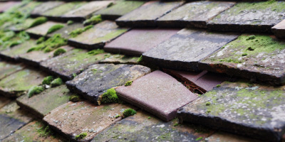 Saron roof repair costs